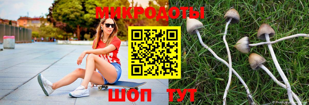 Псилоцибиновые грибы мухоморы Дивногорск